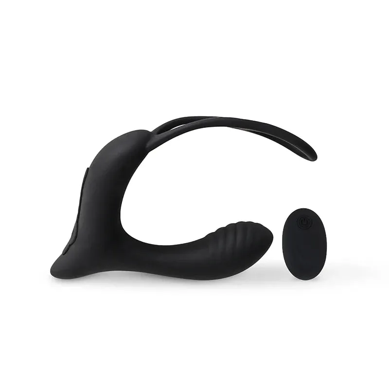Anello e Plug - Your Space