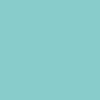 Bronson Samarria Brevard Pro G3 Bearings - Teal