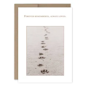 Forever Remembered Pet Sympathy Card