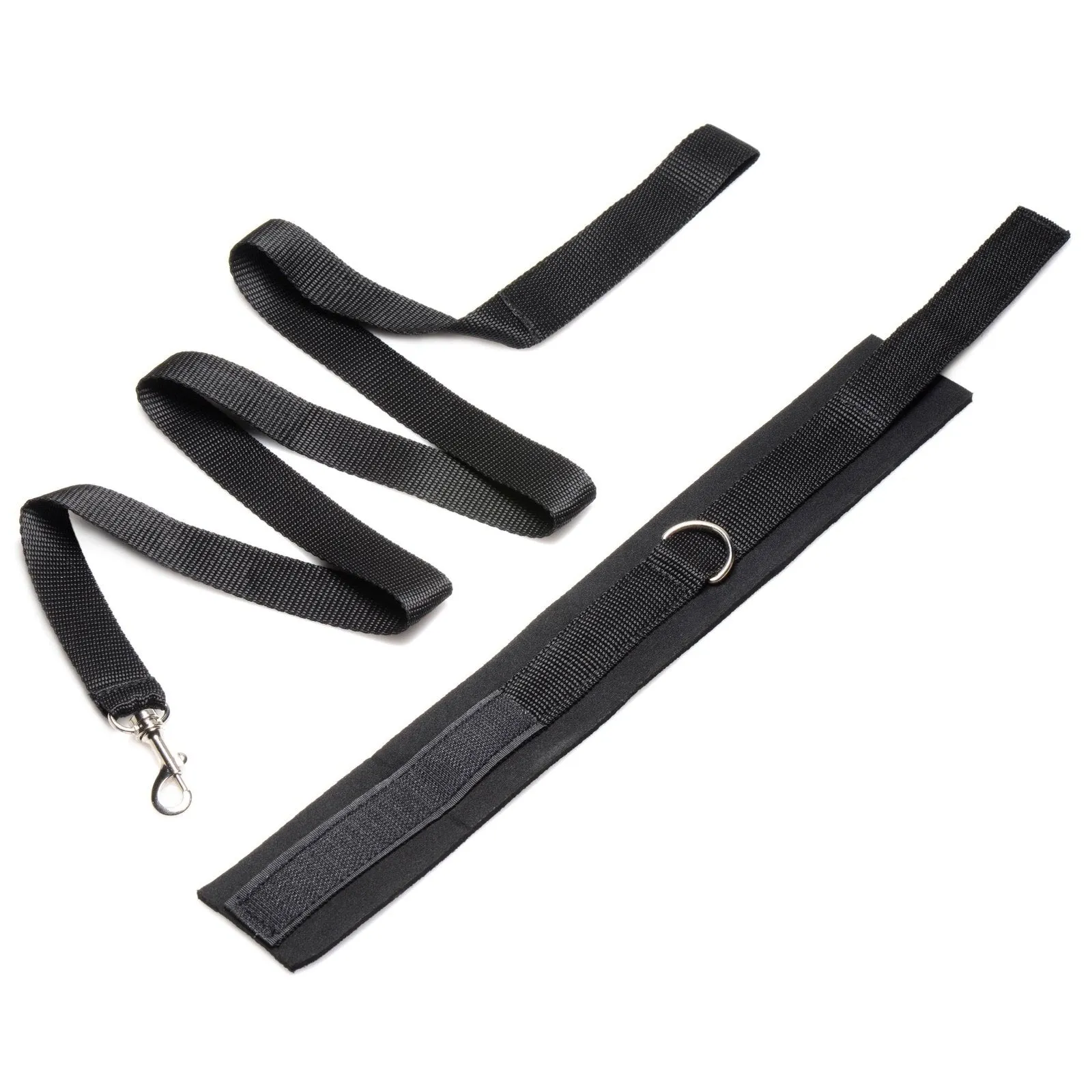 Frisky 46 Inch Leash And Collar Set