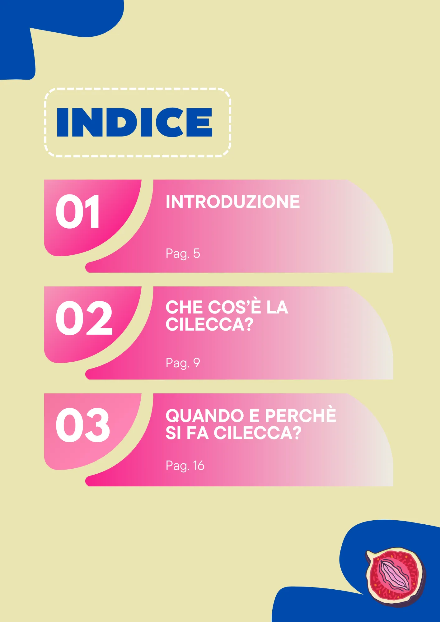 Guida Cilecca: tutto quello che c'è da sapere