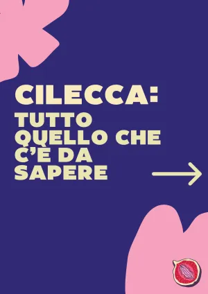 Guida Cilecca: tutto quello che c'è da sapere