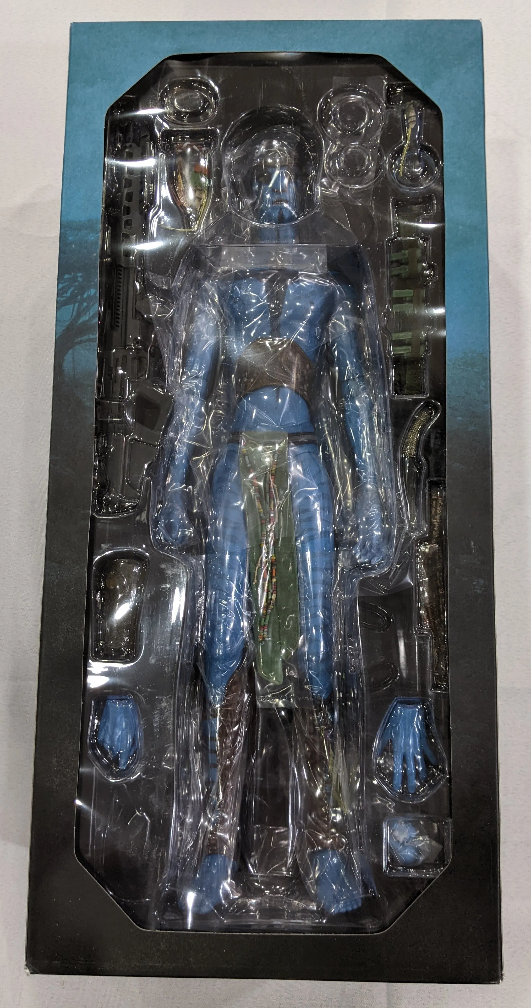 Hot Toys 1/6 Avatar Jake Sully Sixth Scale Figure MMS159
