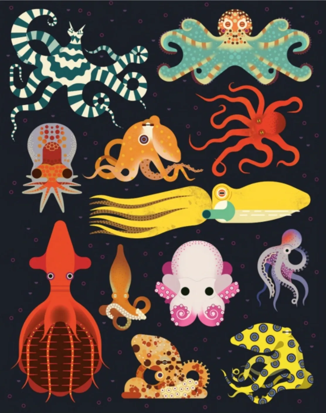 Obsessive About Octopuses
